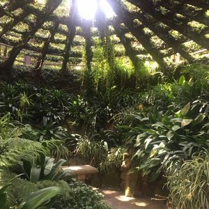 Meet your Posher, Carmen